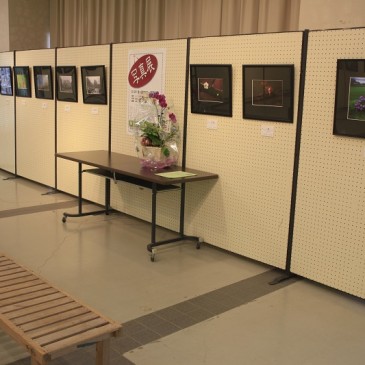 花文アミーゴ写真教室展会場その2