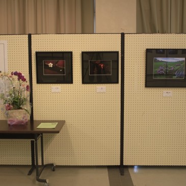 花文アミーゴ写真教室展会場その1