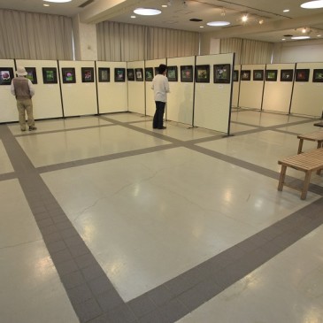 花文アミーゴ写真教室展会場その3